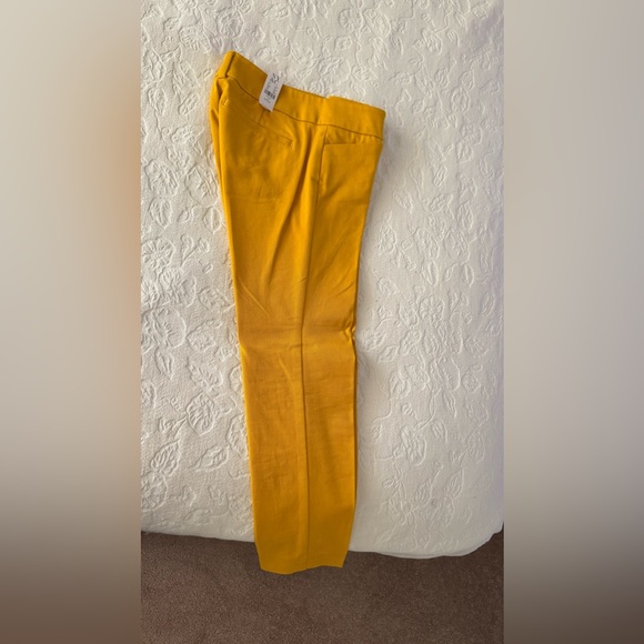 New York Company Petite yellow pans - Picture 3 of 5